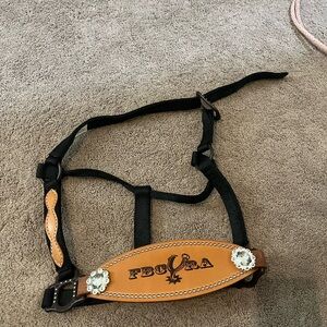 black horse halter